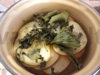 Obuolių gėrimas su mėtomis ir juodaisiais serbentais Žingsnis 2