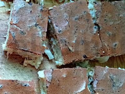 Kopūstų pyragas „Kiškio svajonė“ pagrindine nuotrauka