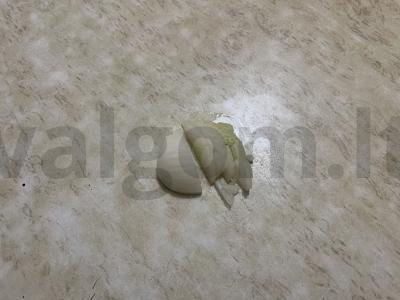 Skani grikių košė su svogūnais ir troškinta kiauliena Žingsnis 7