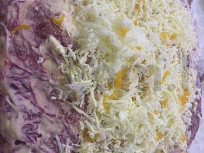 Purios silkes po kailiu pagrindine nuotrauka