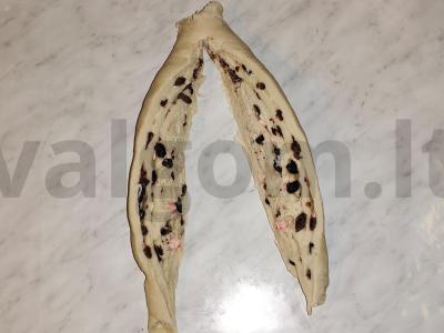 Saldžioji „Sraigė-piramidė“ Žingsnis 8