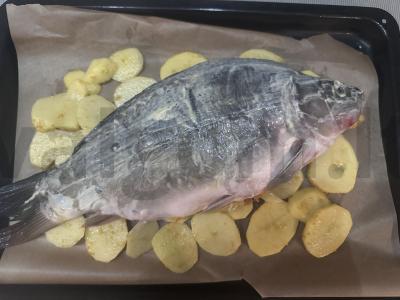 Karšis, keptas su daržovėmis ant bulvių pagalvėlės Žingsnis 4