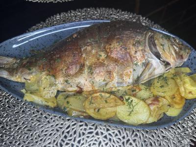 Karšis, keptas su daržovėmis ant bulvių pagalvėlės pagrindine nuotrauka