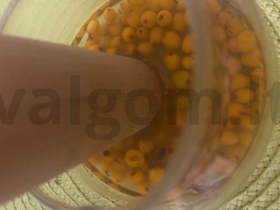 Labai skanus šaltalankių arbata Žingsnis 3