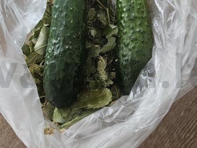 Sūdyti agurkai su vynuogių lapais Žingsnis 2