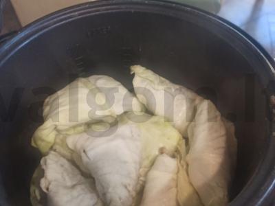 Garstyčios, paruoštos garuose Žingsnis 4