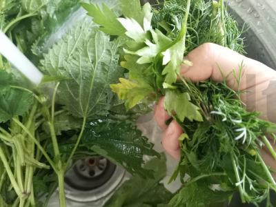 Dilgėlių ir rūgštynių sriuba Žingsnis 2