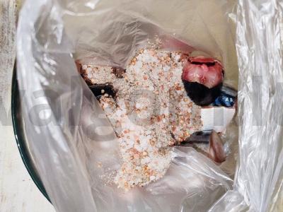 Sultinga žuvis su Himalajų druska sumuštiniui Žingsnis 4