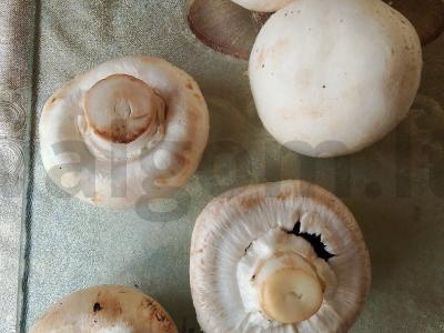 Spagečiai su krevetėmis ir grybais grietinėlės padaže Žingsnis 3