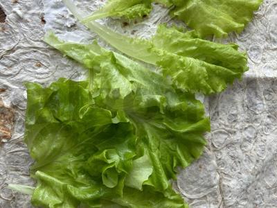 Rolas „Cezaris namuose“ Žingsnis 1