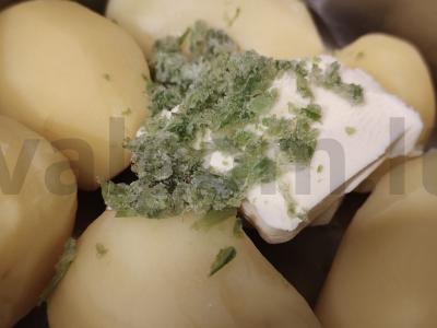 Šernai su grietine prie virtų bulvių Žingsnis 5