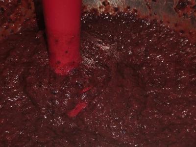 Šernų pastila su Antonovkos obuoliais Žingsnis 4