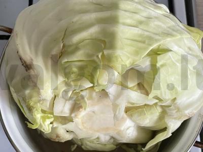 Kopūstų su vištienos faršu Žingsnis 1