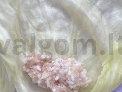 Kopūstų su vištienos faršu Žingsnis 7