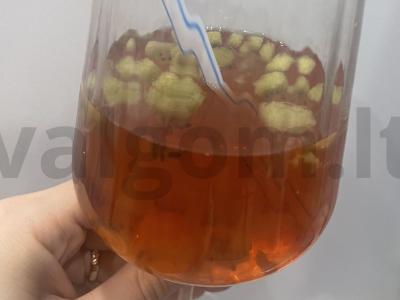 Kivi limonadas pagrindine nuotrauka