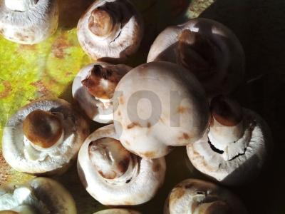 Grybų ir vištienos žiulienas Žingsnis 1