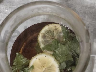 Arbata su serbentų lapais ir citrina Žingsnis 4