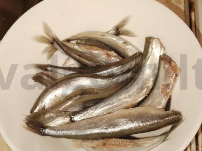 Šprotas miltų dangoje Žingsnis 1