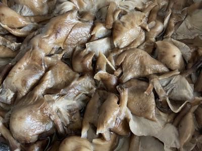 Keptas bulvės su voveraitėmis ir žolelėmis Žingsnis 1