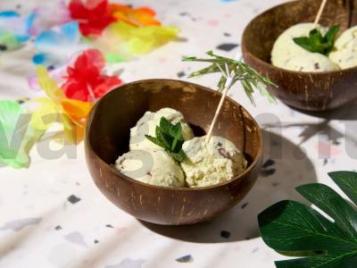 Mėtų ledai su šokolado trupiniais „Per daug saulės“ pagrindine nuotrauka