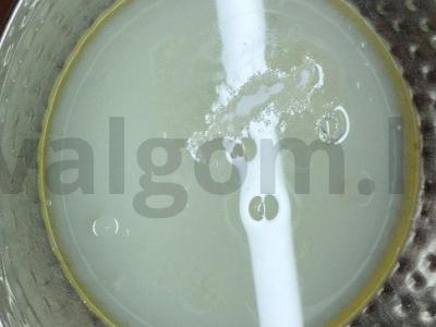 Greitieji blynai Žingsnis 4