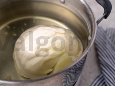 Vegetariški golubai Žingsnis 1