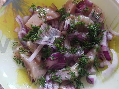 Skani silkė su krapais ir raudonuoju svogūnu pagrindine nuotrauka