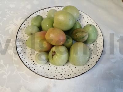 Pomidorų sūdymas šaltu būdu Žingsnis 1