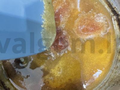 Bananai karamelėje „Stikliukas“ Žingsnis 3