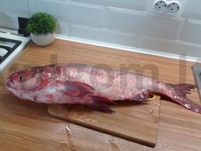 Virta žuvis su krapais Žingsnis 1