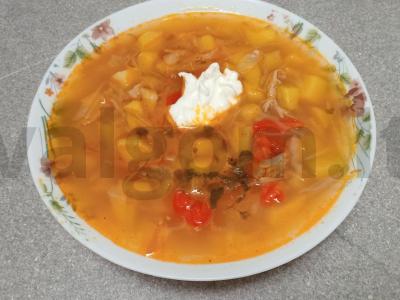 Borsčas be burokėlių ant ančių sultinio pagrindine nuotrauka