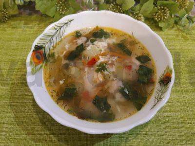 Sriuba su špinatais ir kiaušiniu pagrindine nuotrauka