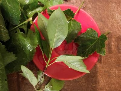 Marinuoti agurkai su juodųjų serbentų, vyšnių ir krienų lapais Žingsnis 4