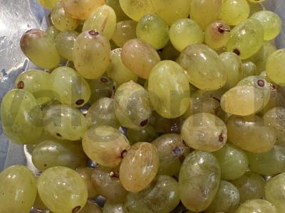 Sotūs kompotas su rūgštelėmis iš sulčių, vynuogių ir džiovintų vaisių Žingsnis 2