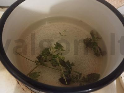 Gėrimas su čiobreliais, mėtomis ir citrina Žingsnis 3