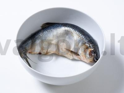 Namų silpnai sūdyta silkė Žingsnis 4