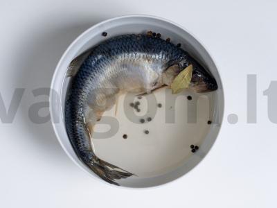 Namų silpnai sūdyta silkė Žingsnis 5