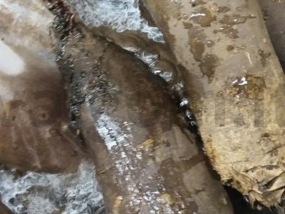 Burokėlių salotas su žirneliais Žingsnis 1