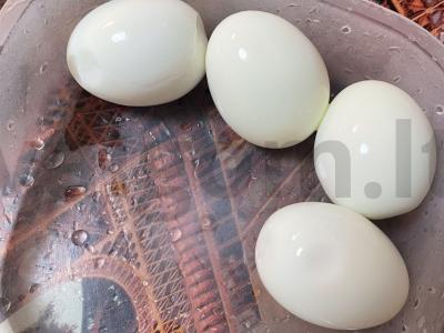 Salotos su pupelėmis, kiaušiniais, grybais ir sūriu Žingsnis 2