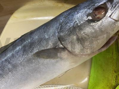 Lašiša su vynuogių sėklų aliejumi Žingsnis 1