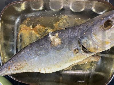 Lašiša su vynuogių sėklų aliejumi Žingsnis 4