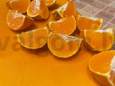 Naujųjų metų kompotas iš mandarinų ir kriaušių Žingsnis 2