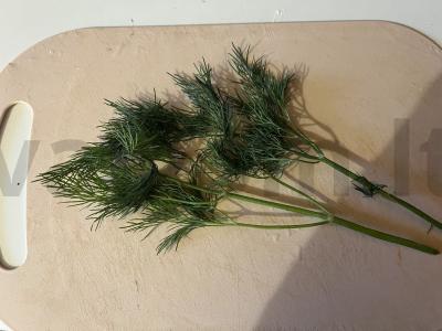 Oro užtepas duonai iš varškės sūrio su krapais Žingsnis 2