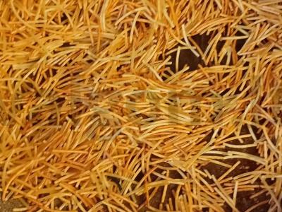 Greitas vištienos ir makaronų sriuba Žingsnis 3