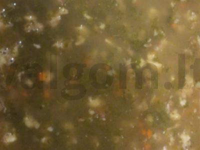 Appetizing šaltiena su morkomis ir krienais Žingsnis 4