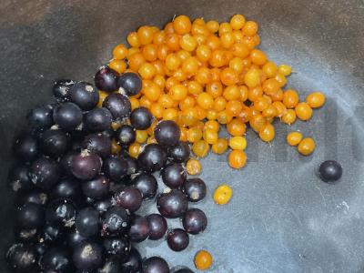 Kompotas „Uogų slėnis“ Žingsnis 2