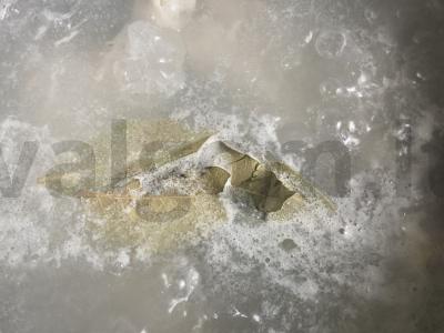 Grietininis vištienos sriuba su vermišeliais „Švelnus“ Žingsnis 1