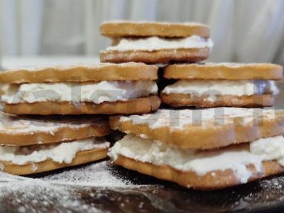 Varškės ir sausainių desertas pagrindine nuotrauka