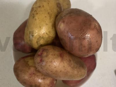 Bulvės su troškiniu vakarienei Žingsnis 1