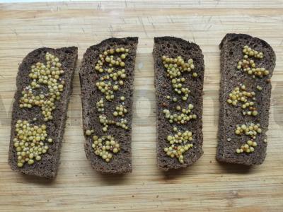 Sumuštiniai su šonine, agurku ir ridikėliais Žingsnis 1